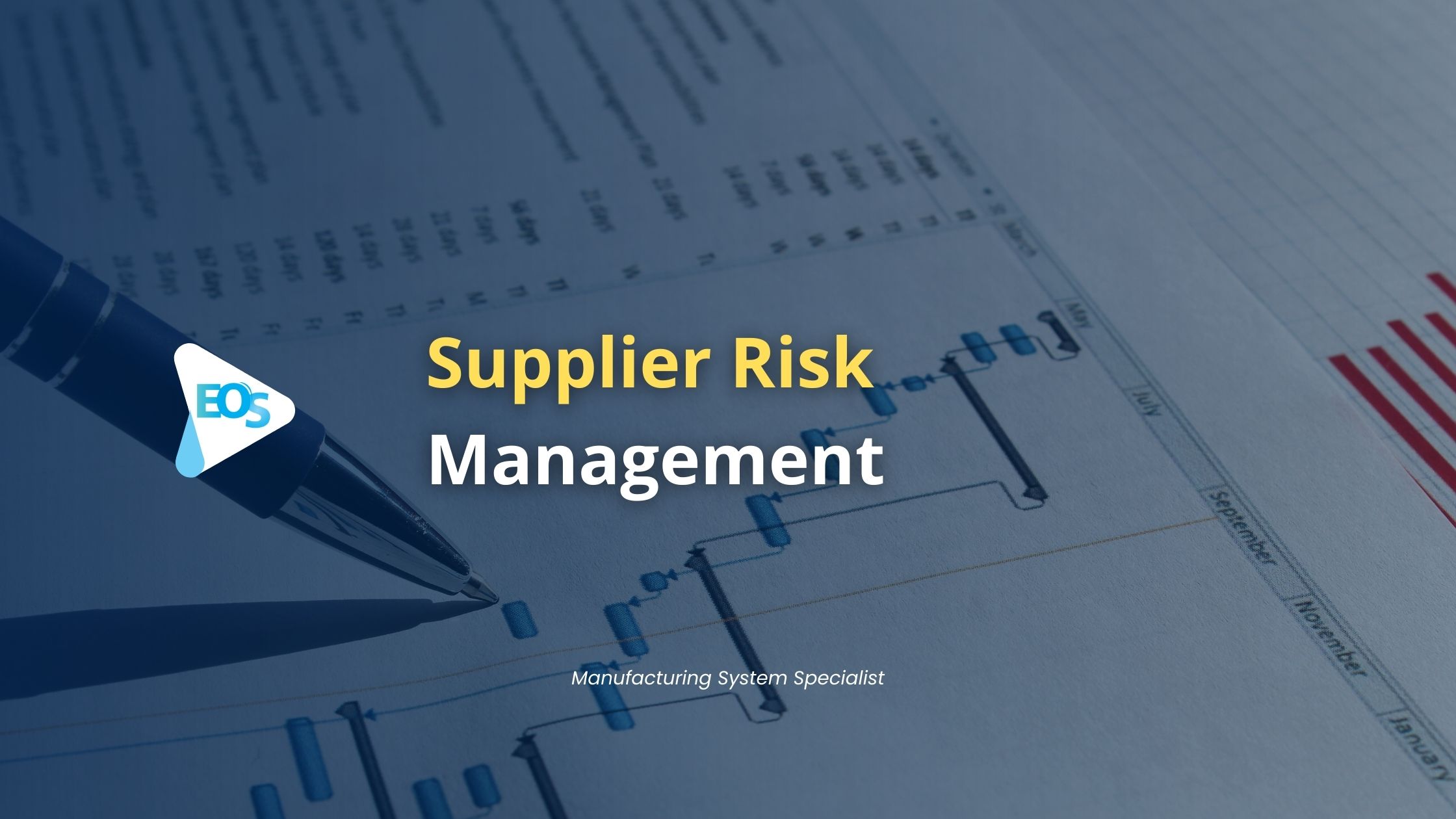 Supplier Risk Management