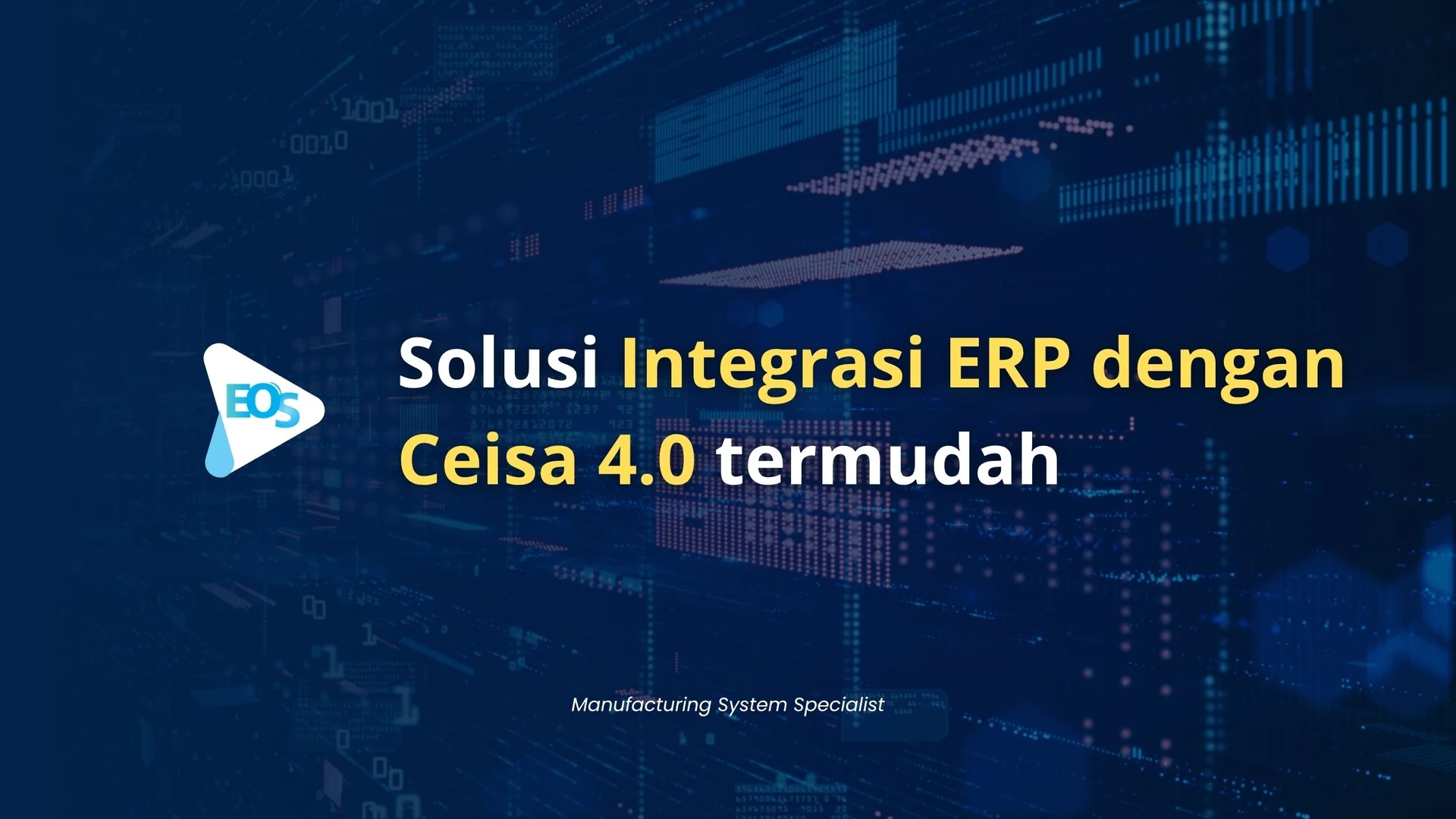 Cara Mudah Integrasi Ceisa Dengan ERP Perusahaan